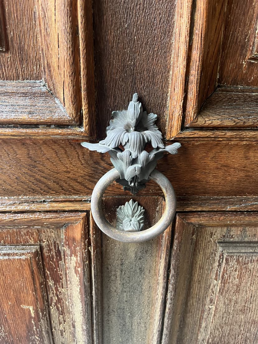 Image of the door handle